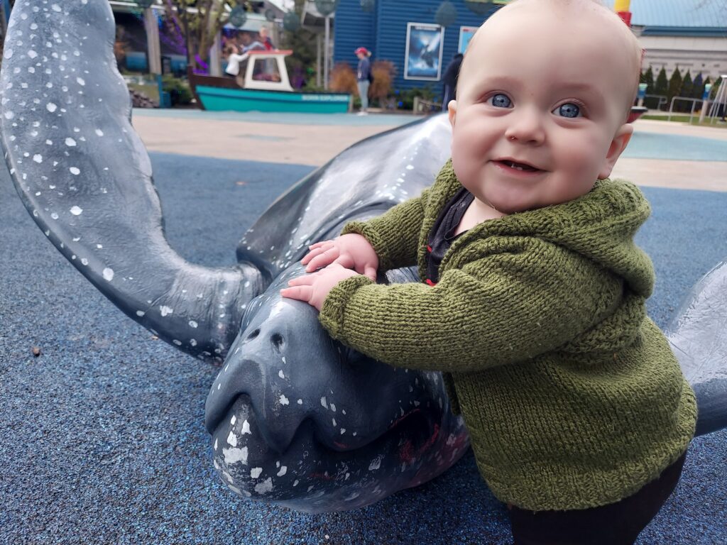 Baby playing on turtle at a zoo playground.